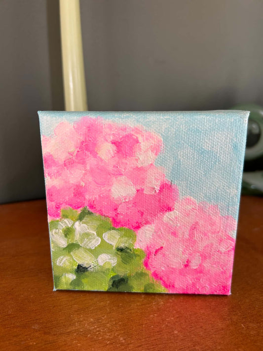 Cotton Candy Hydrangeas ORIGINAL